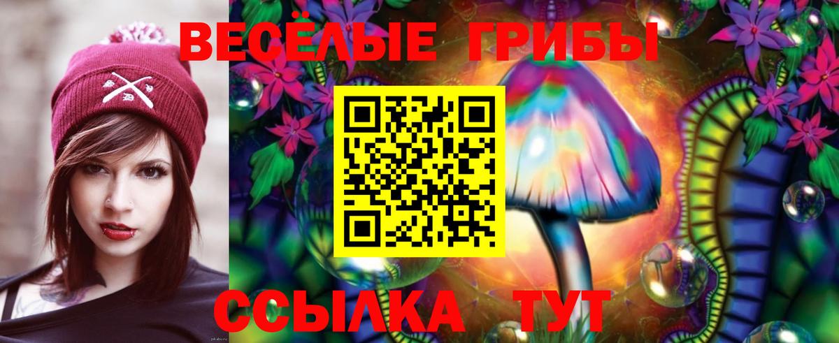 Заводоуковск  Галлюциногенные грибы Cubensis  Псилоцибиновые грибы GOLDEN TEACHER  Вход с VPN 